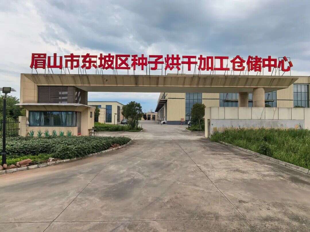 文档图片
