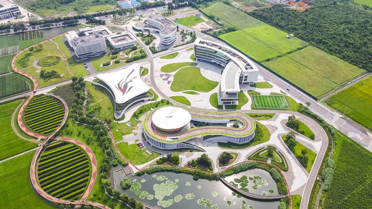 文档图片