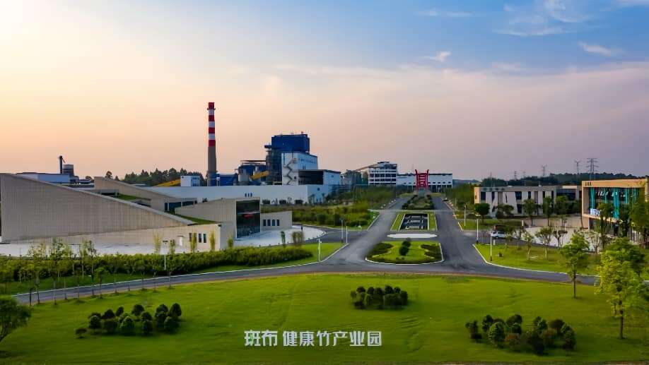 文档图片