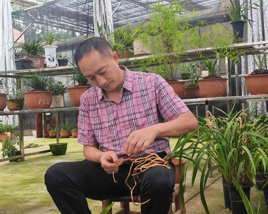 文档图片