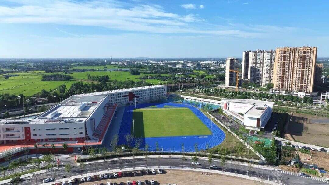 文档图片
