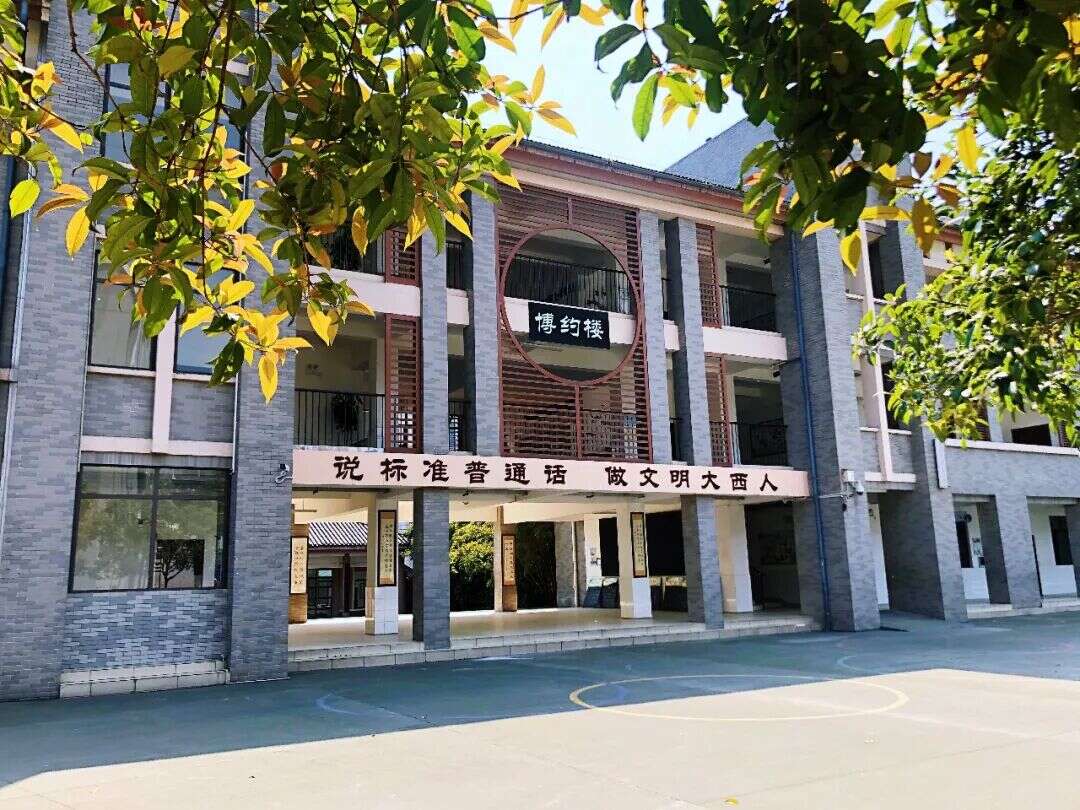 文档图片