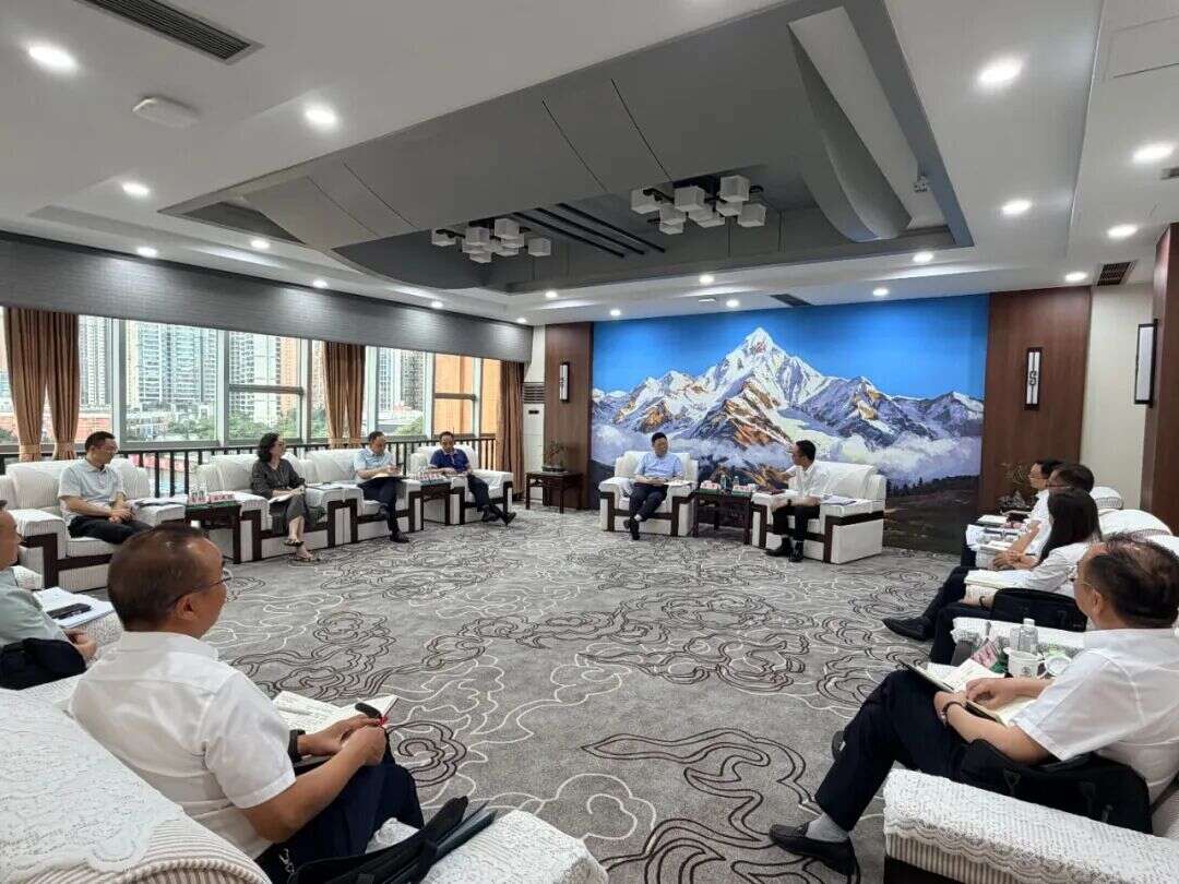 文档图片