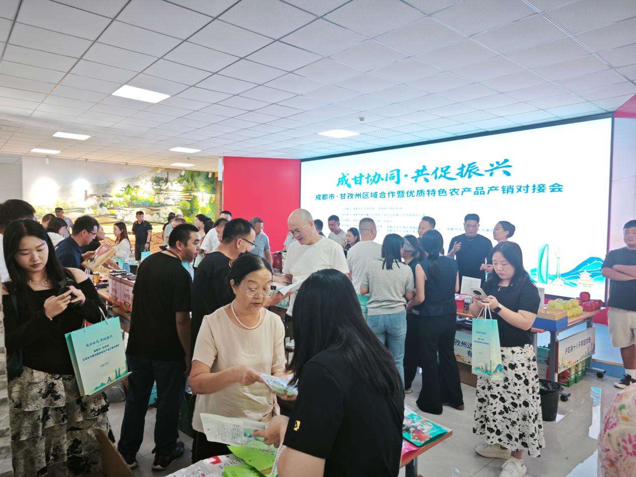 文档图片