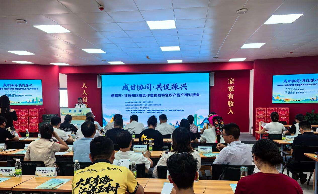 文档图片