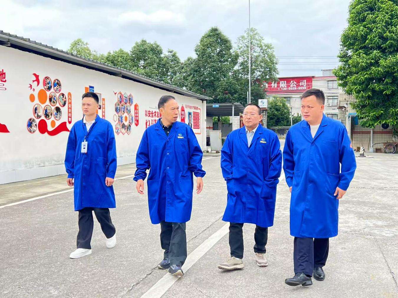 文档图片