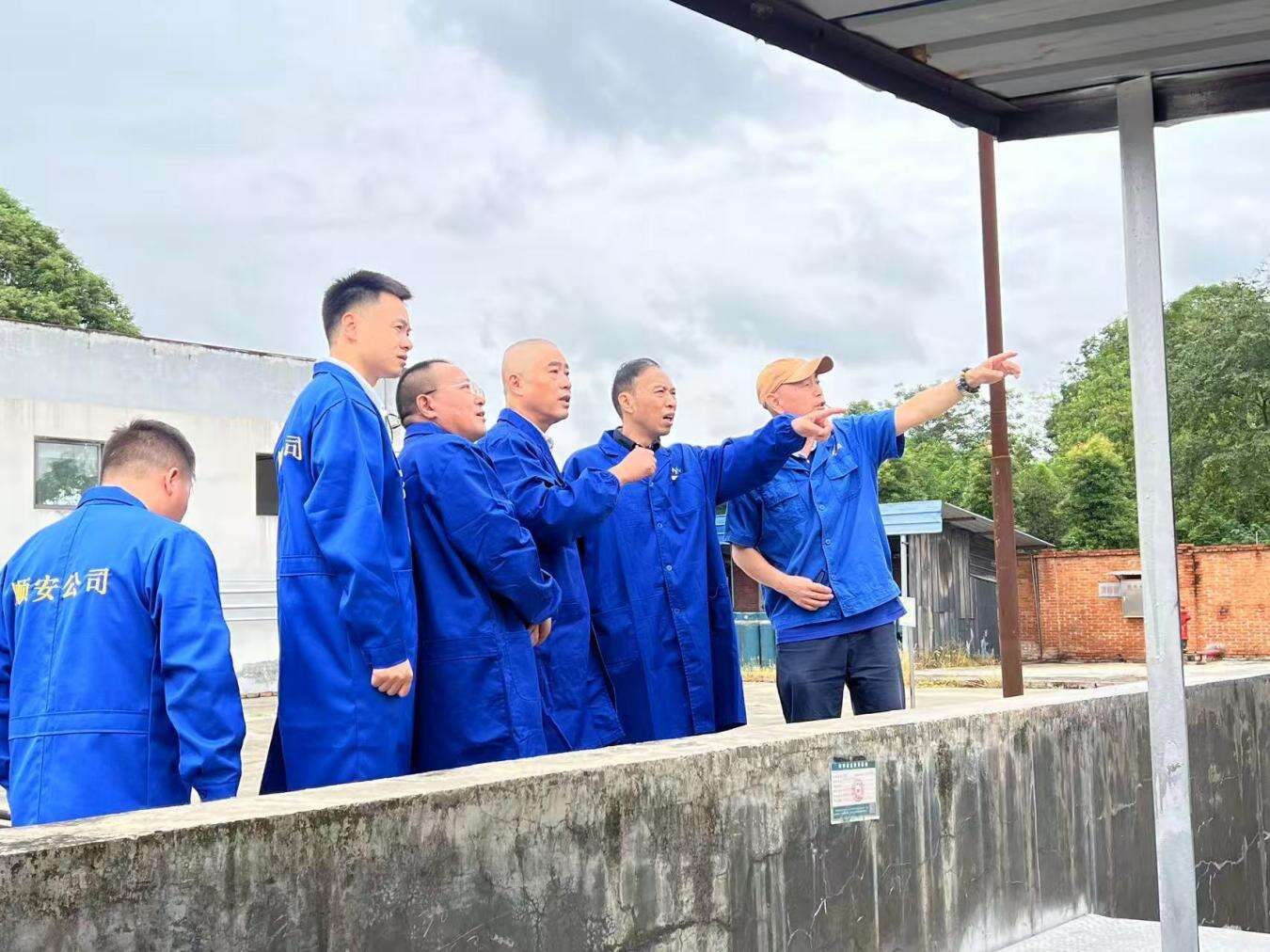 文档图片