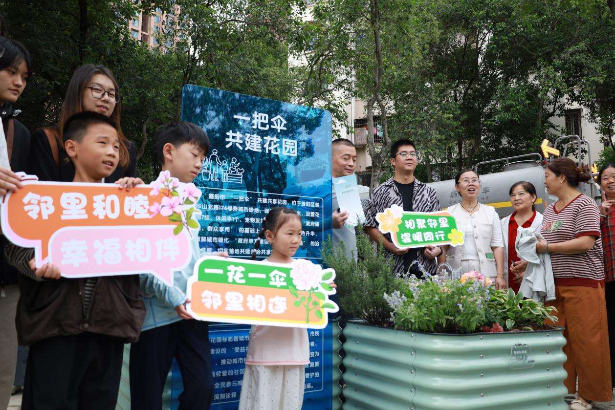 文档图片