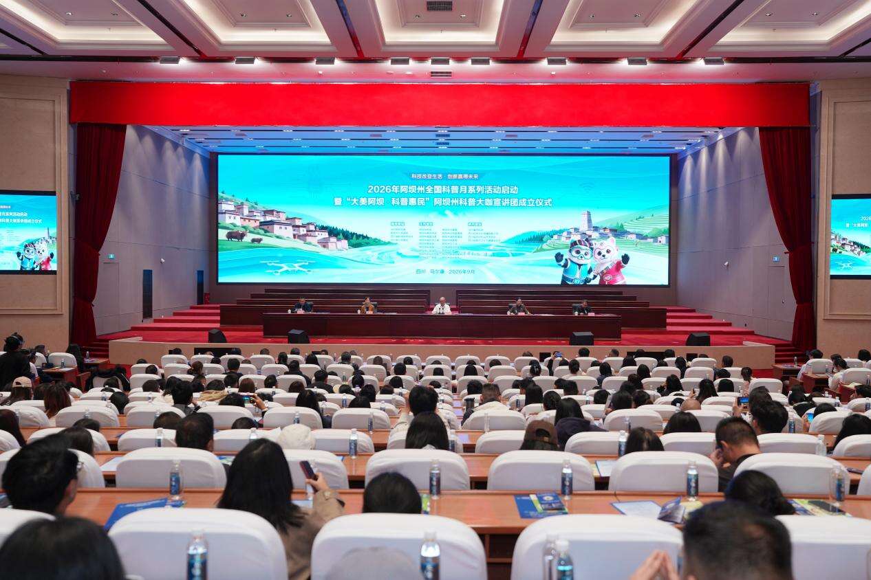 文档图片