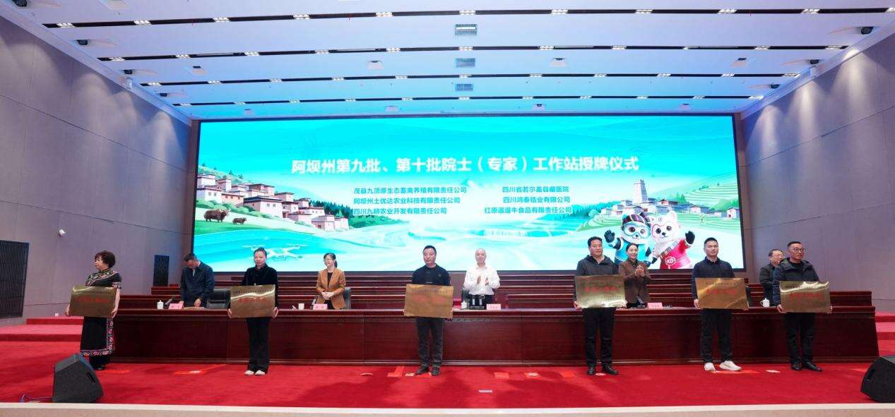 文档图片
