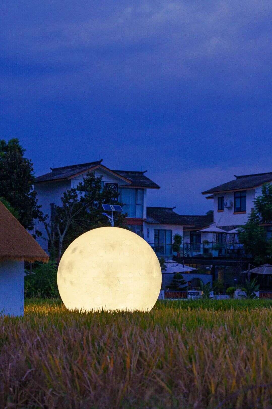 文档图片