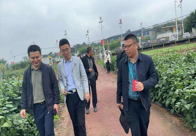 文档图片