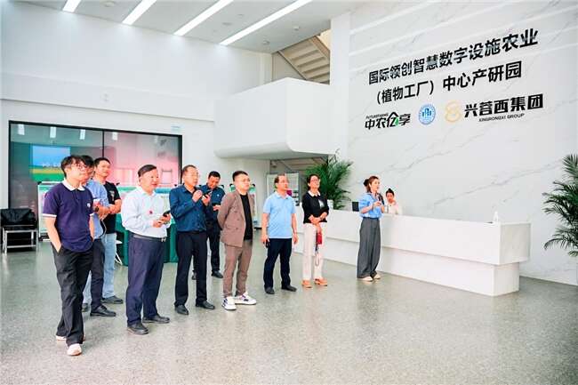 文档图片