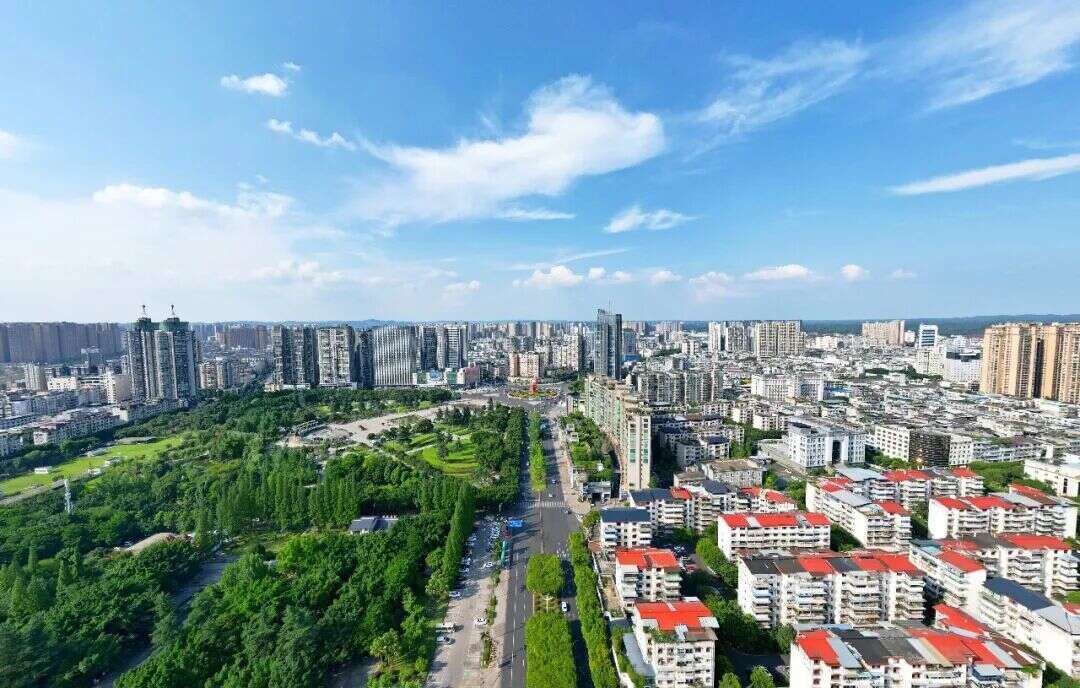 文档图片