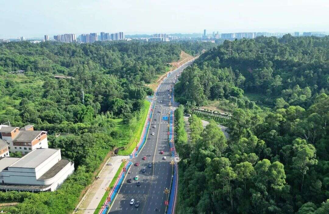 文档图片