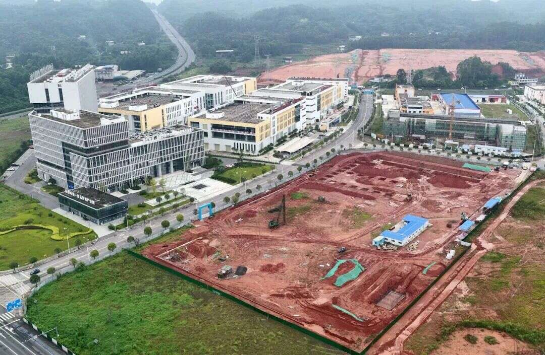 文档图片