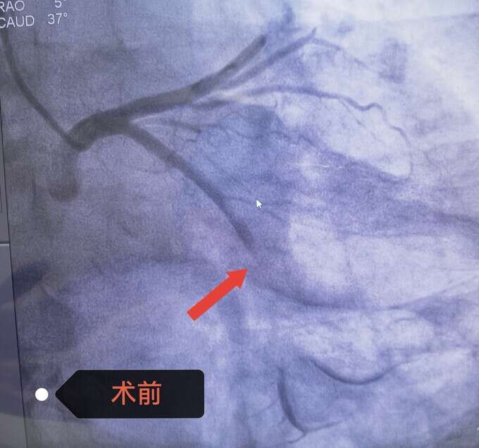 文档图片