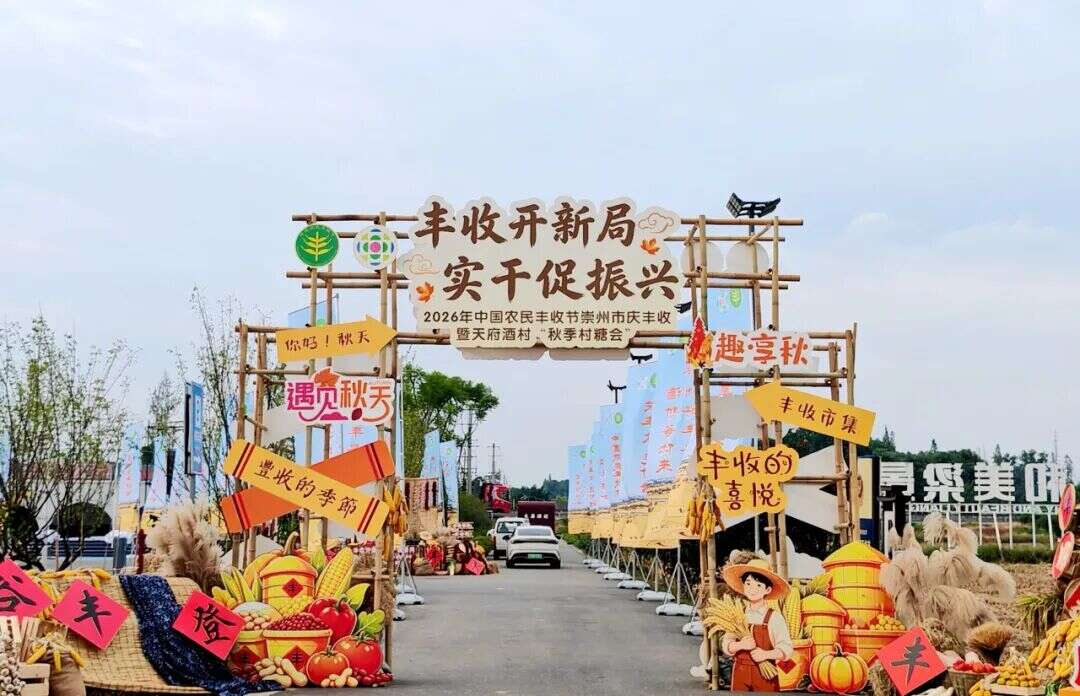 文档图片