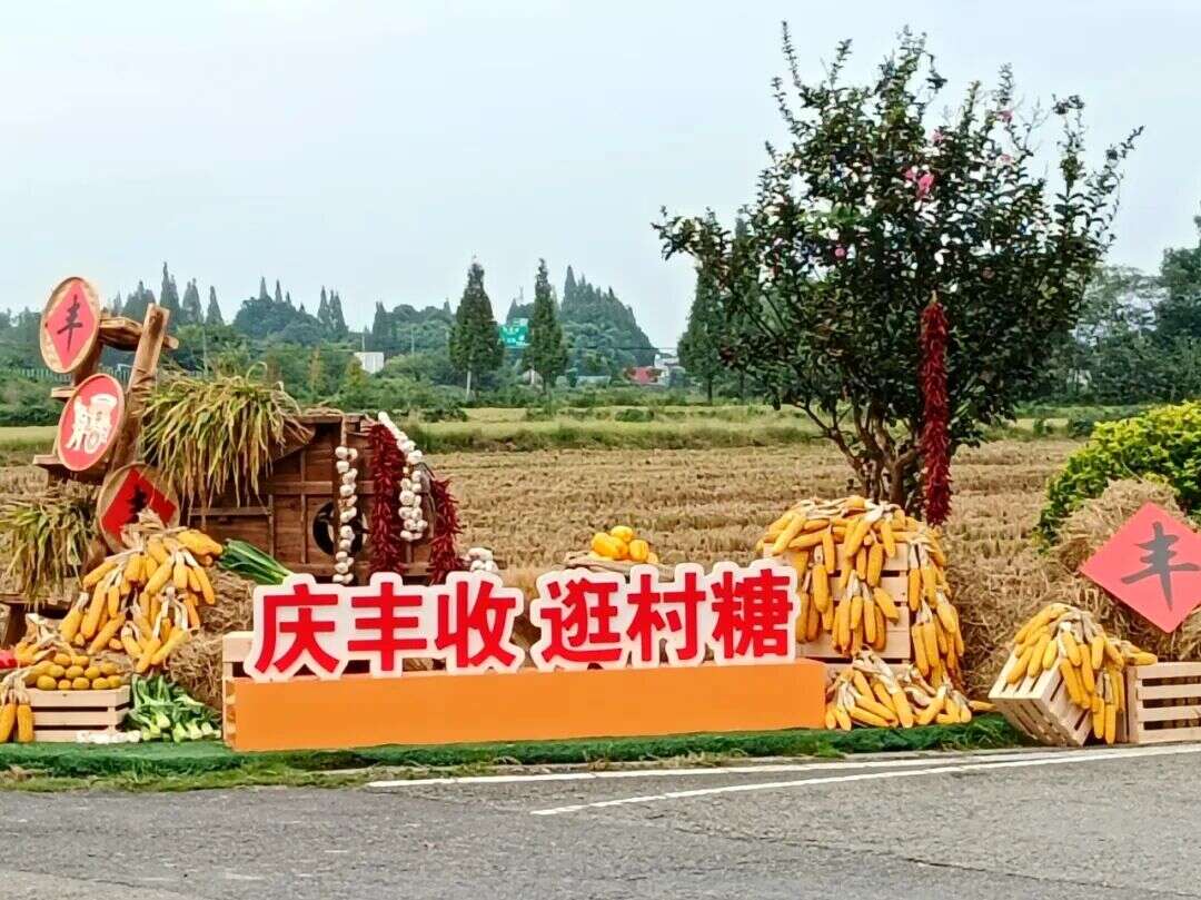 文档图片