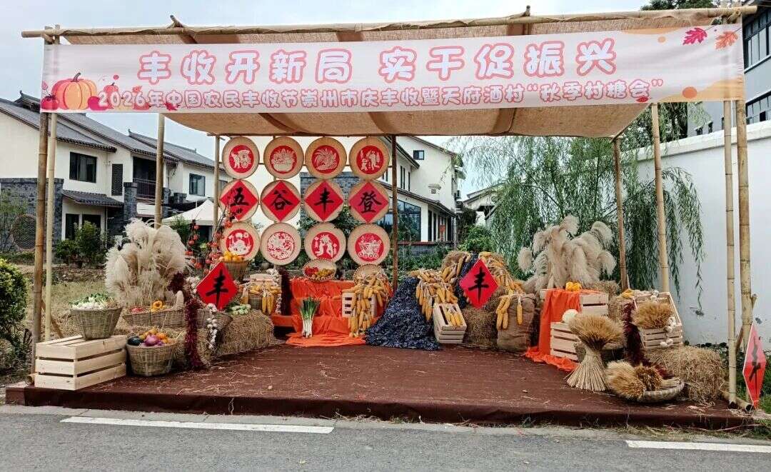 文档图片
