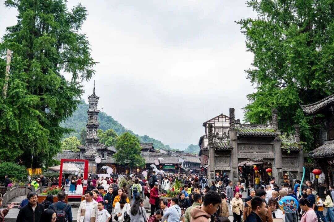 文档图片