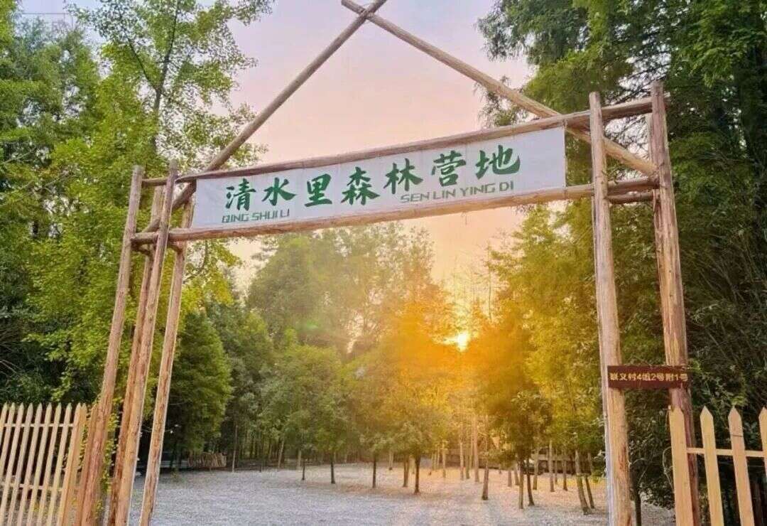 文档图片