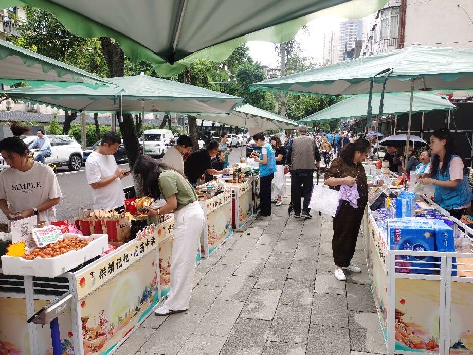 文档图片