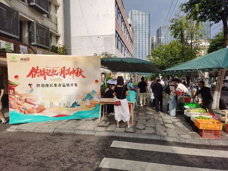 文档图片