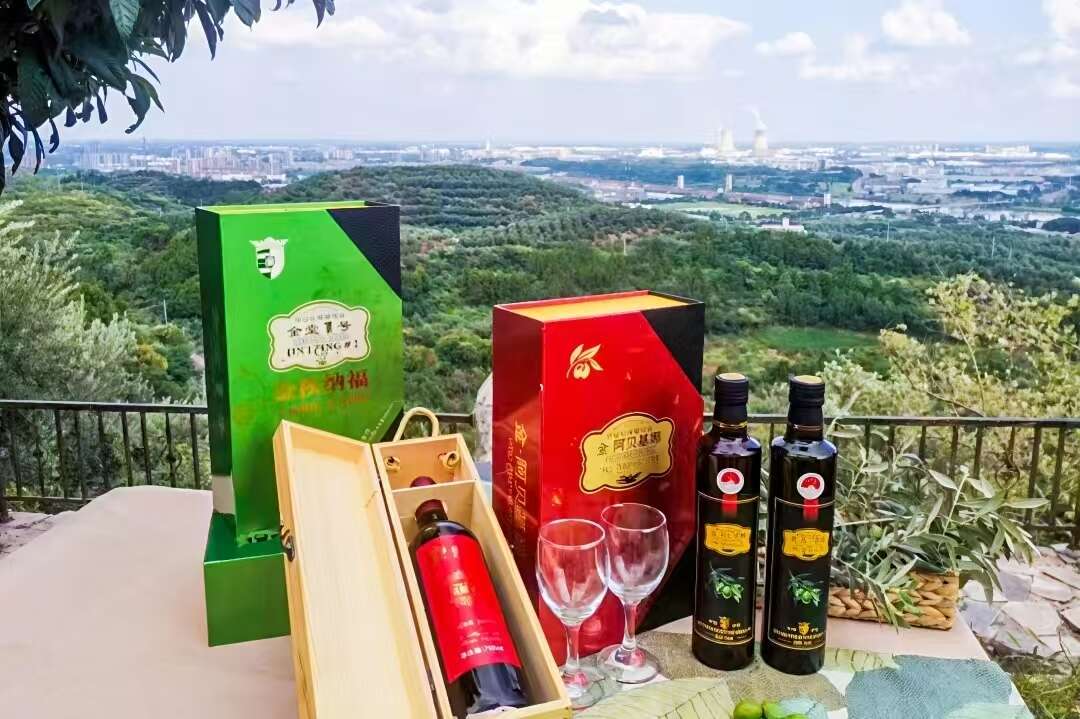 文档图片