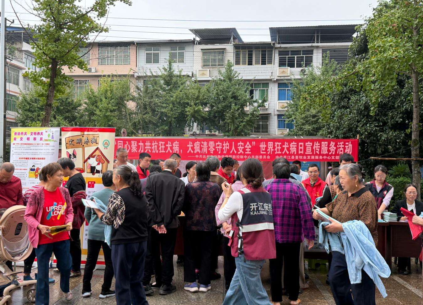 文档图片