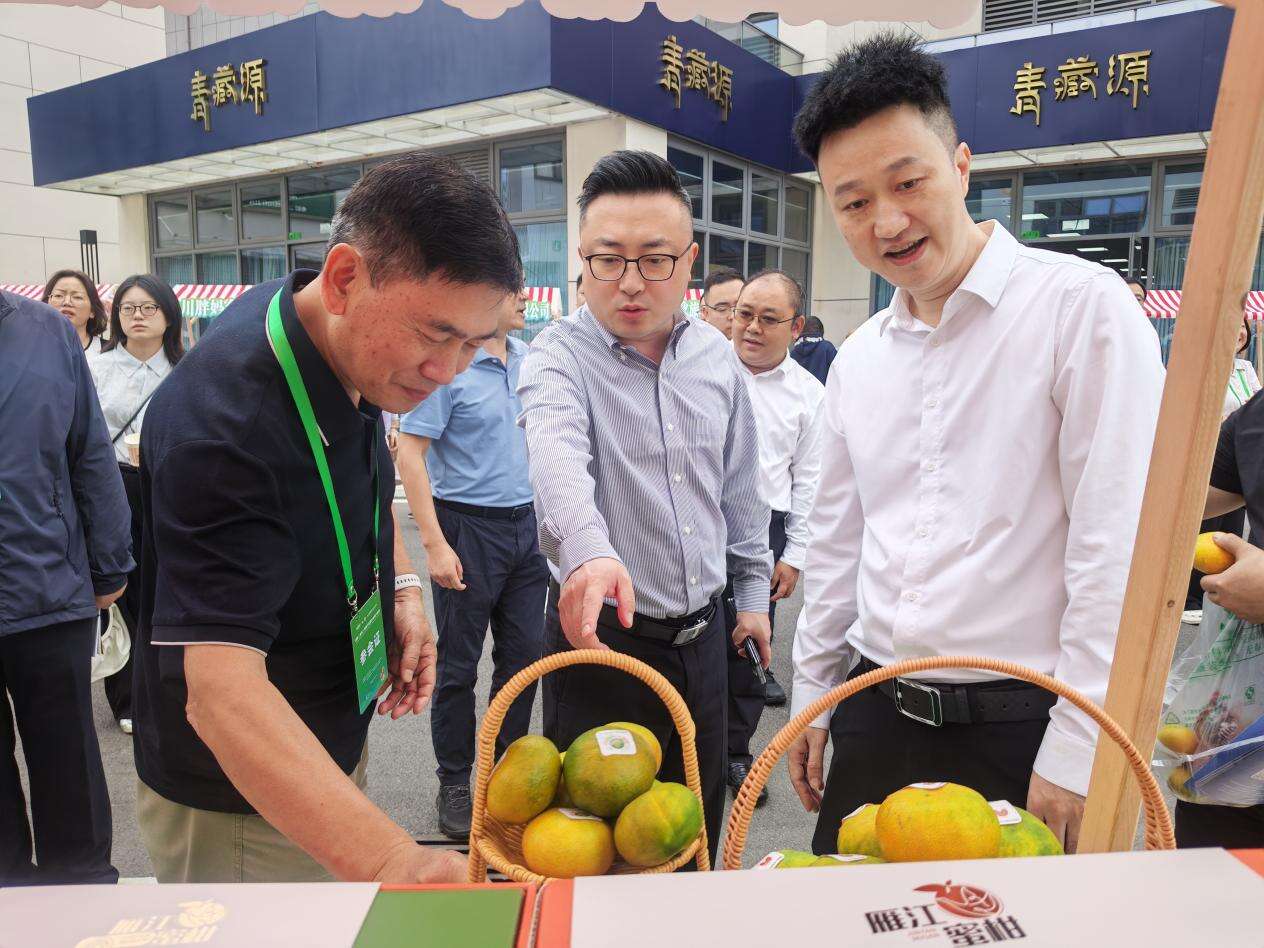 文档图片