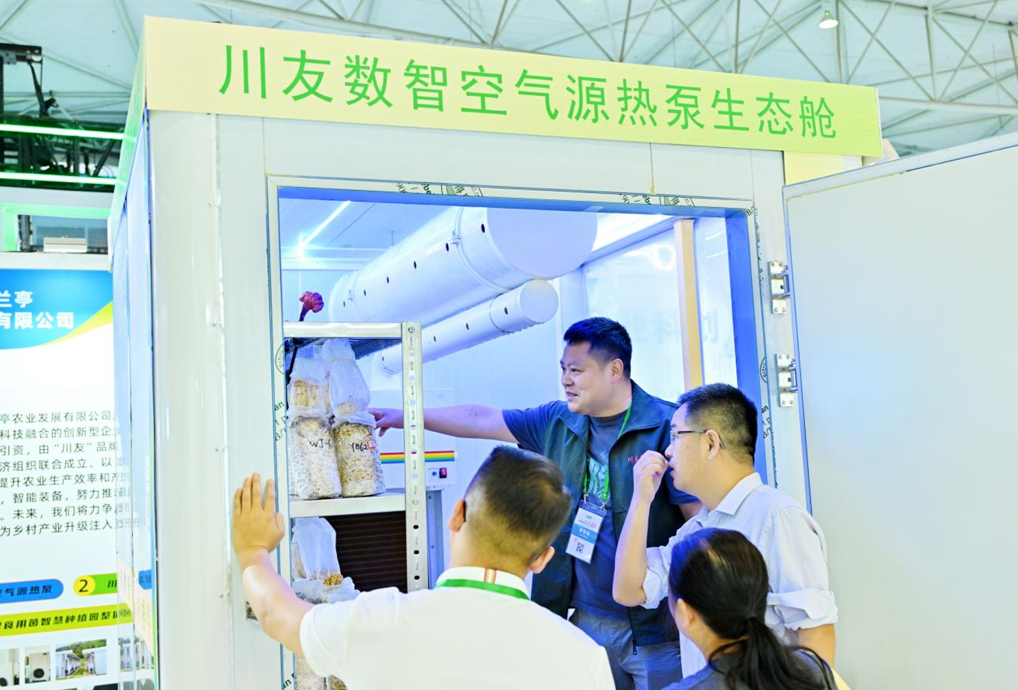 文档图片