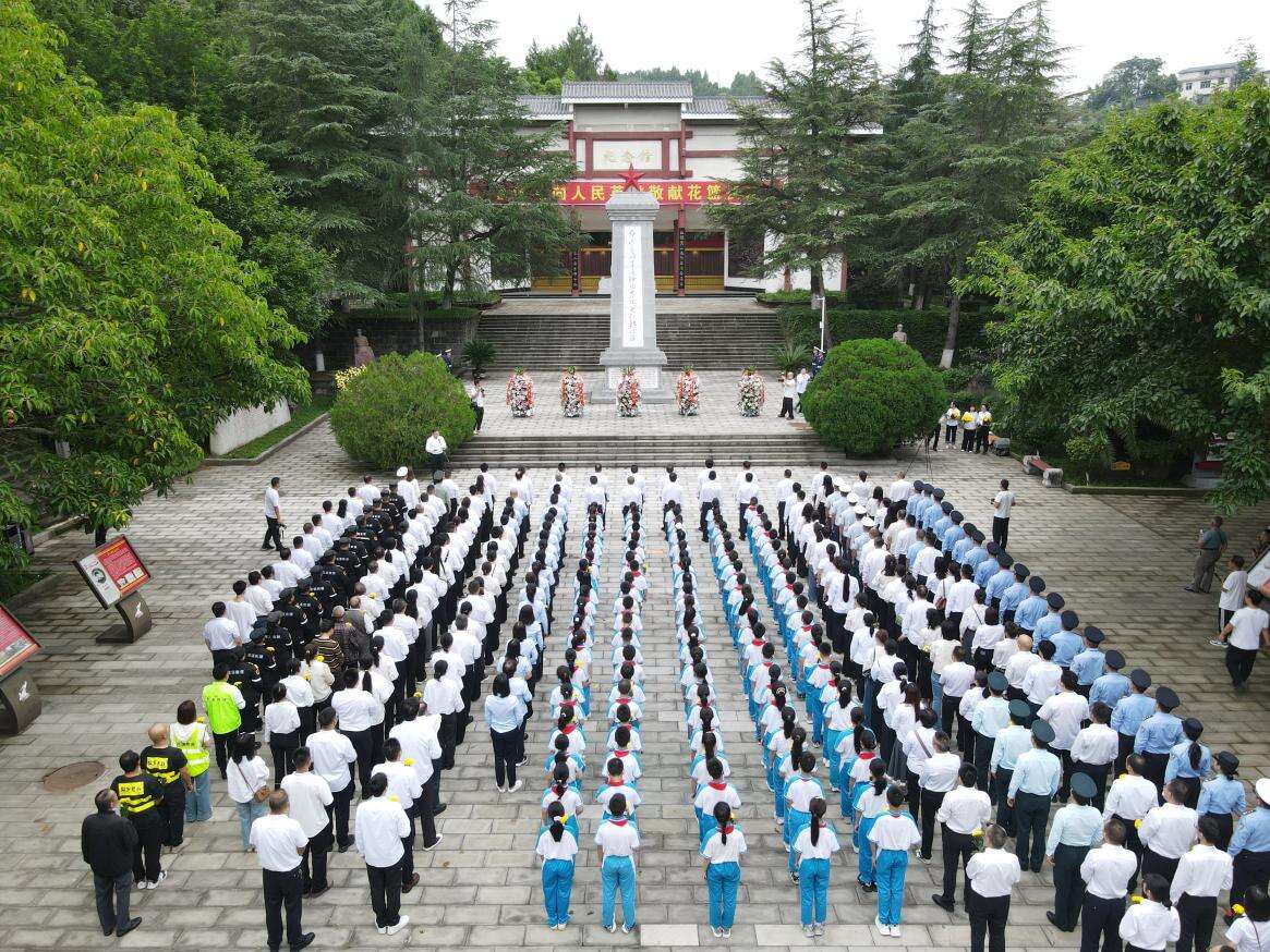 文档图片