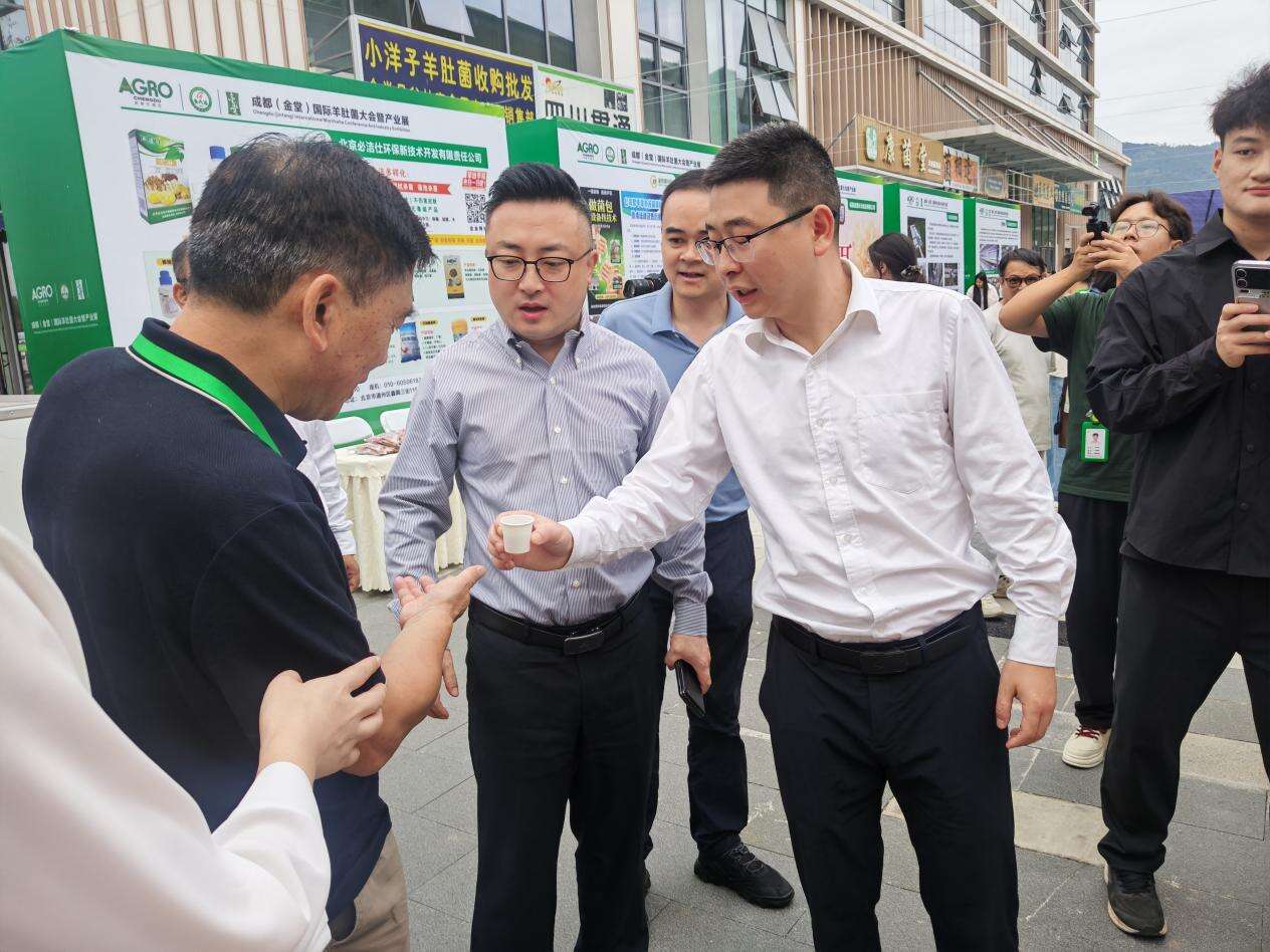 文档图片