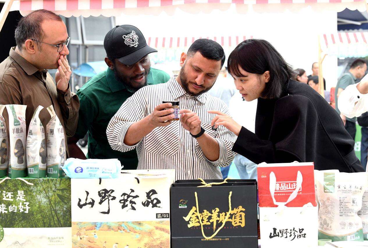 文档图片