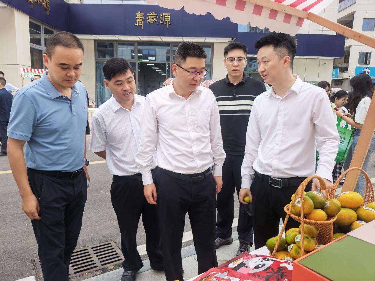 文档图片