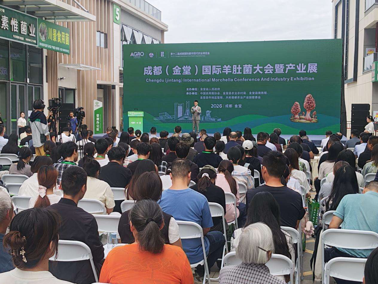 文档图片