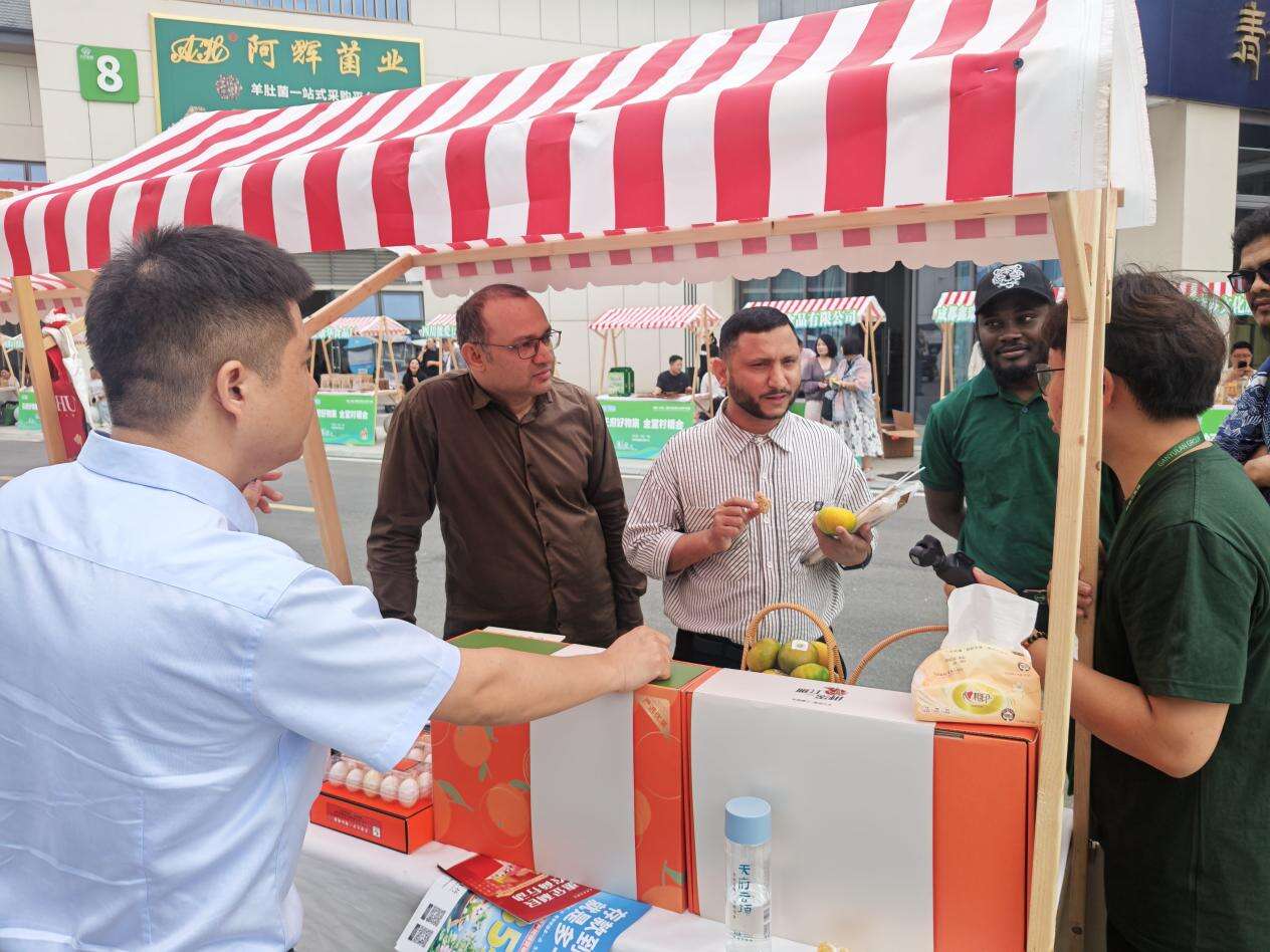 文档图片