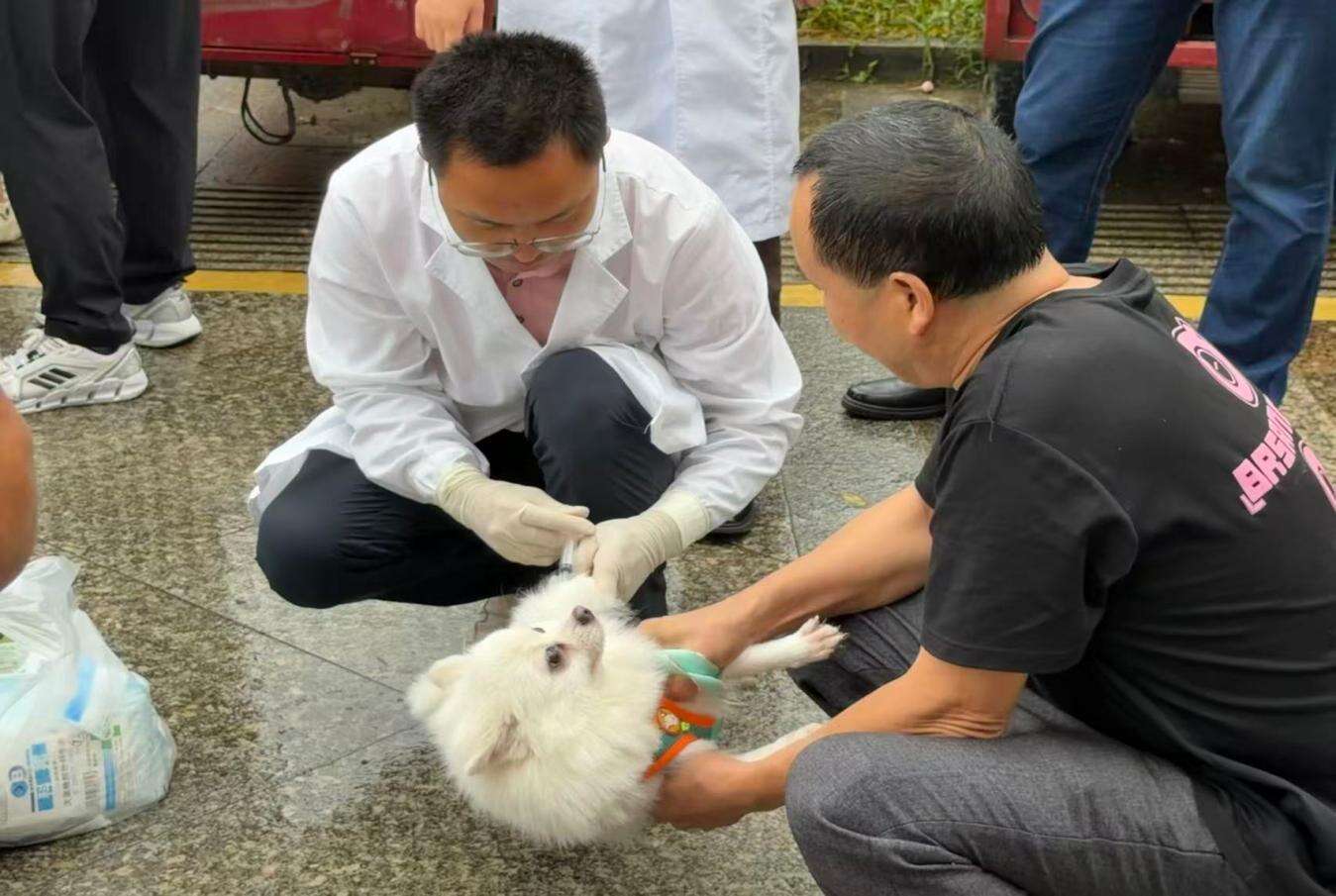 文档图片
