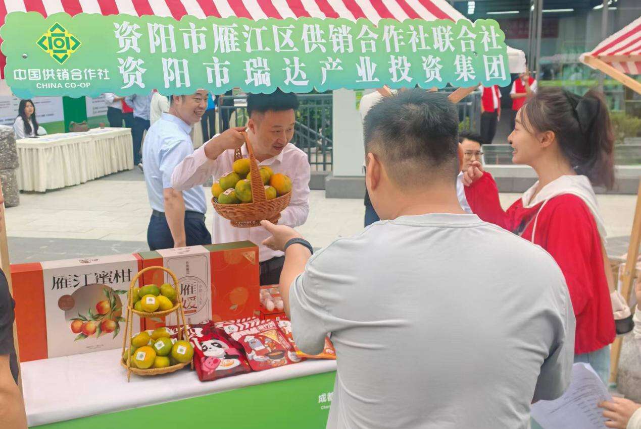 文档图片