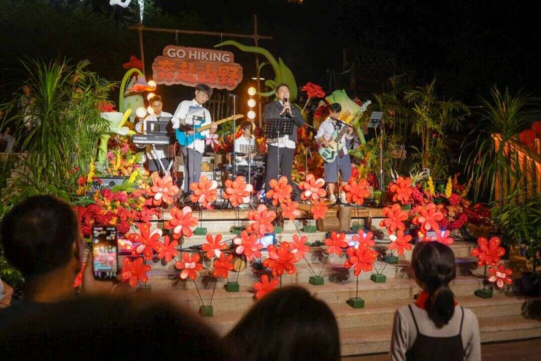文档图片