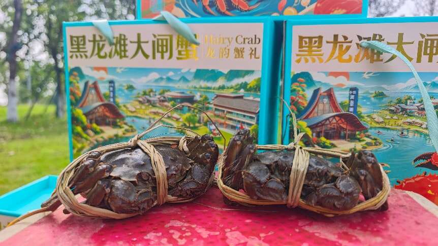 文档图片