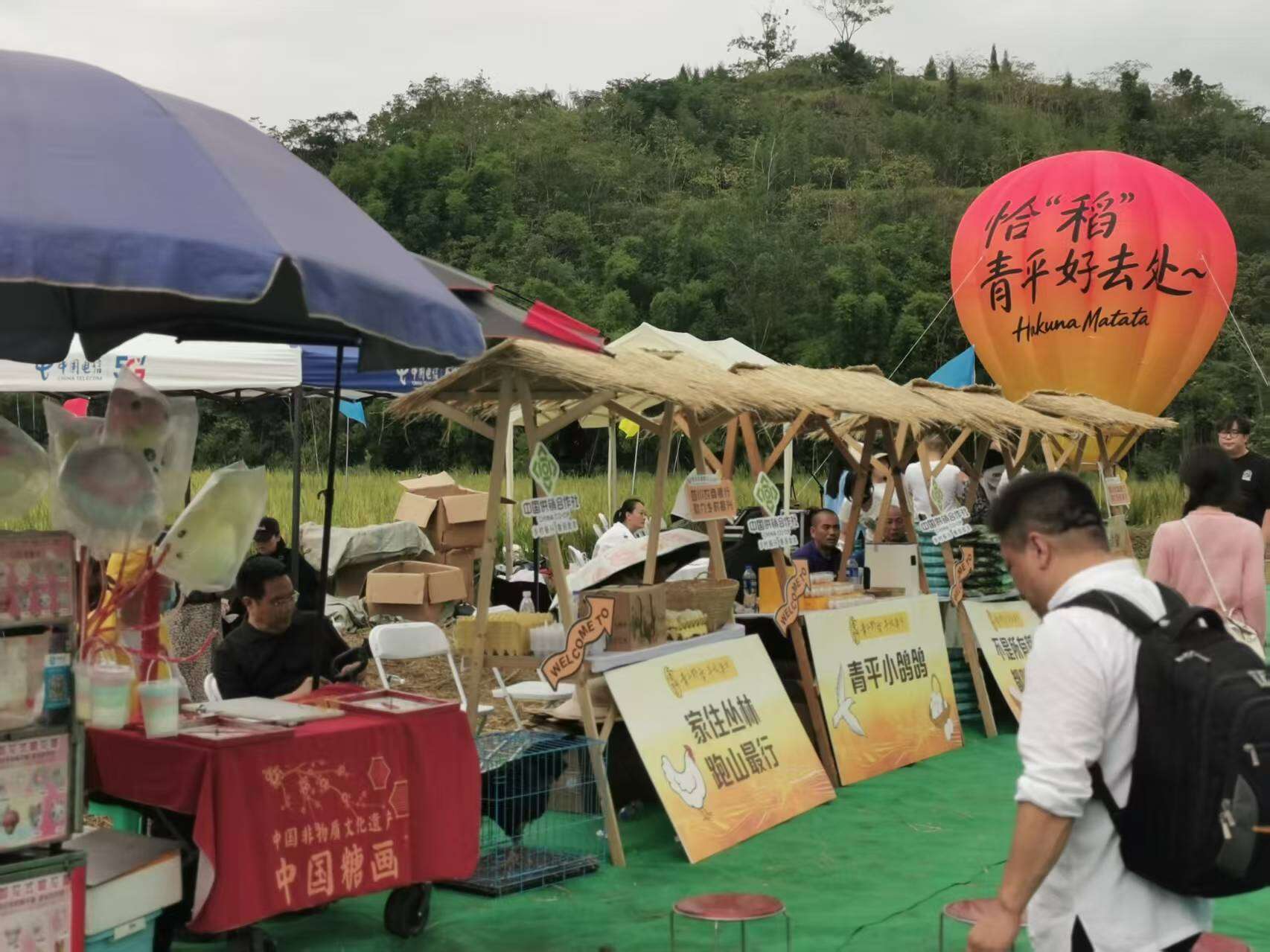 文档图片