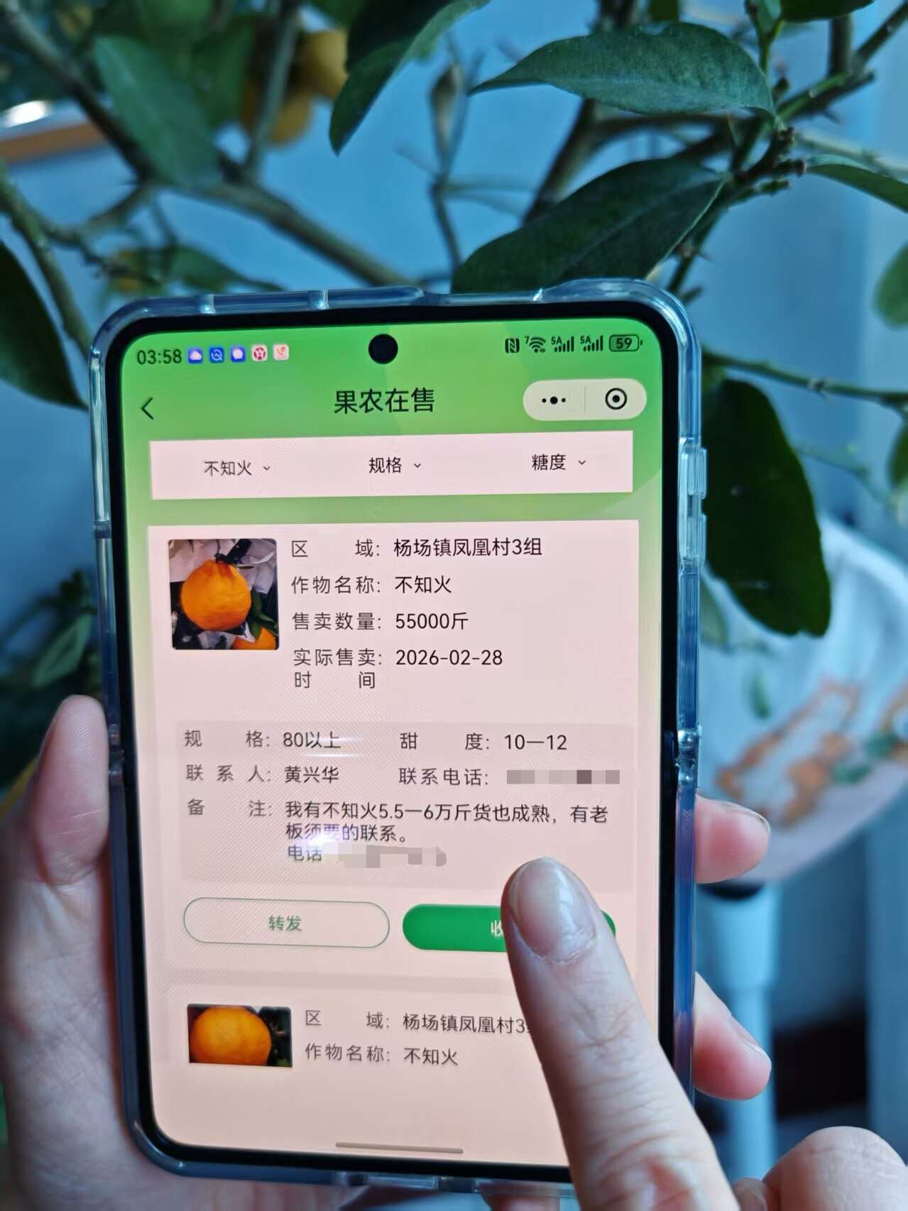 文档图片