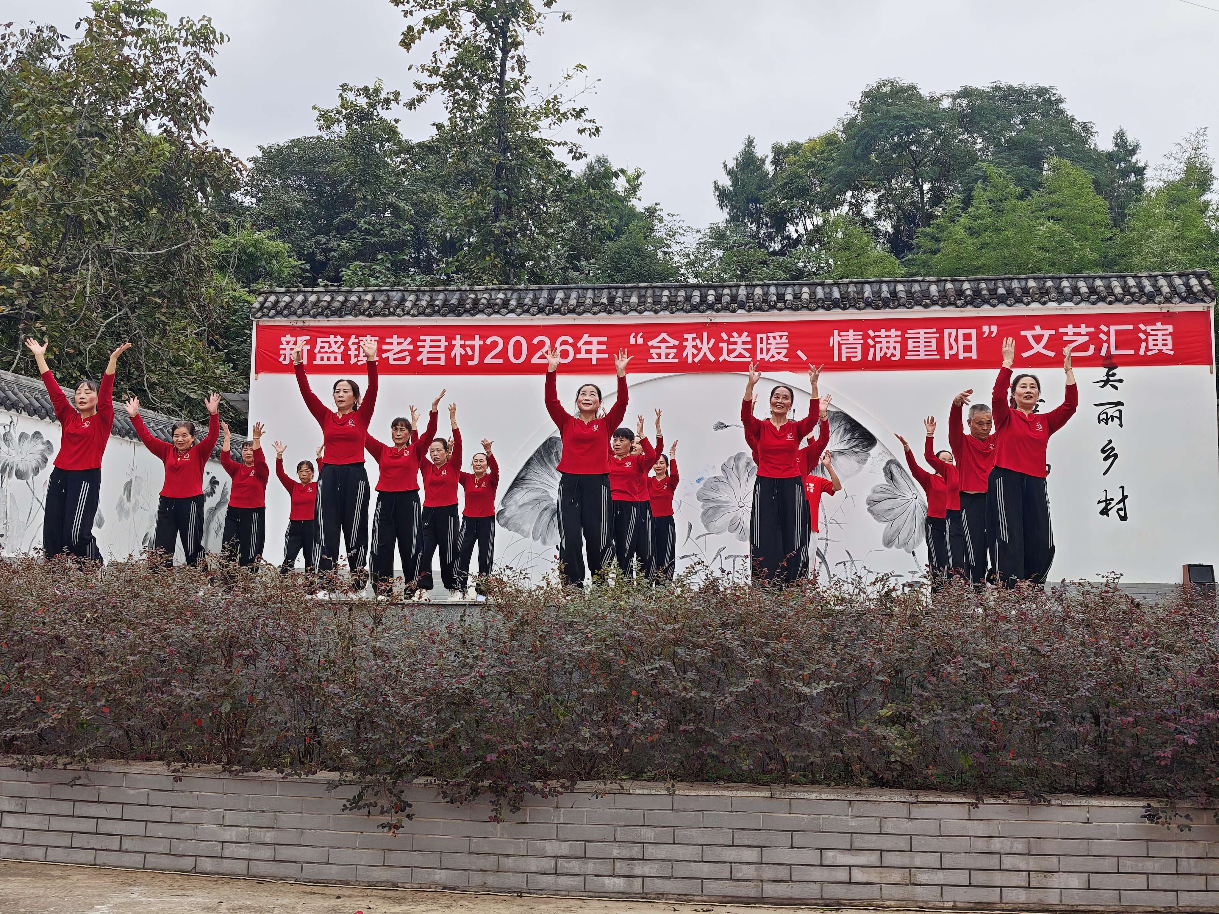 文档图片