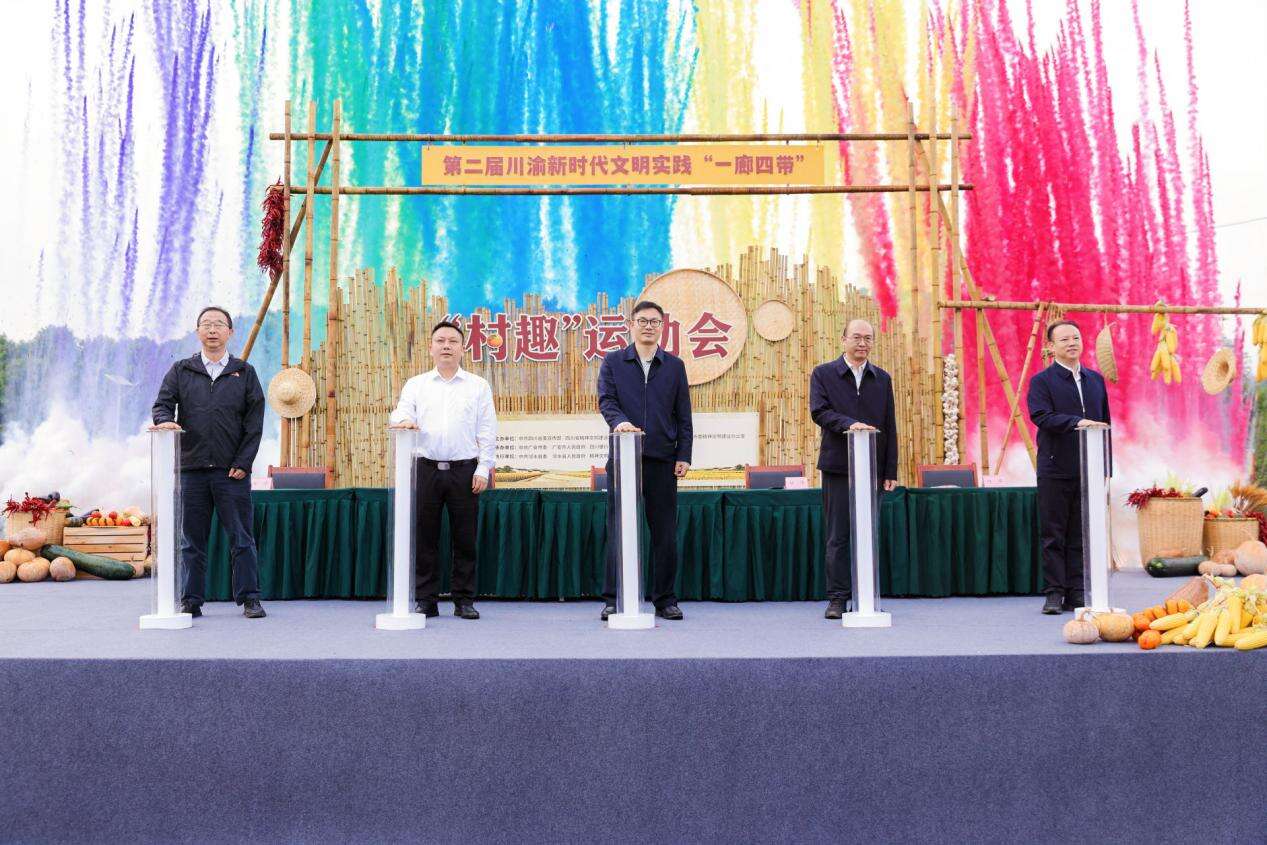 文档图片