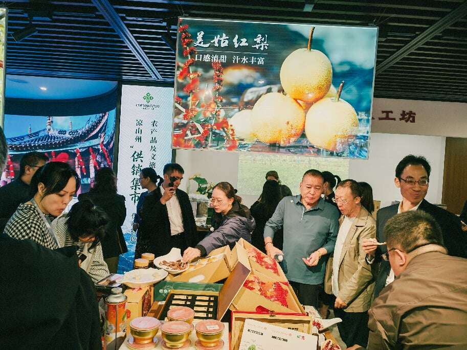 文档图片
