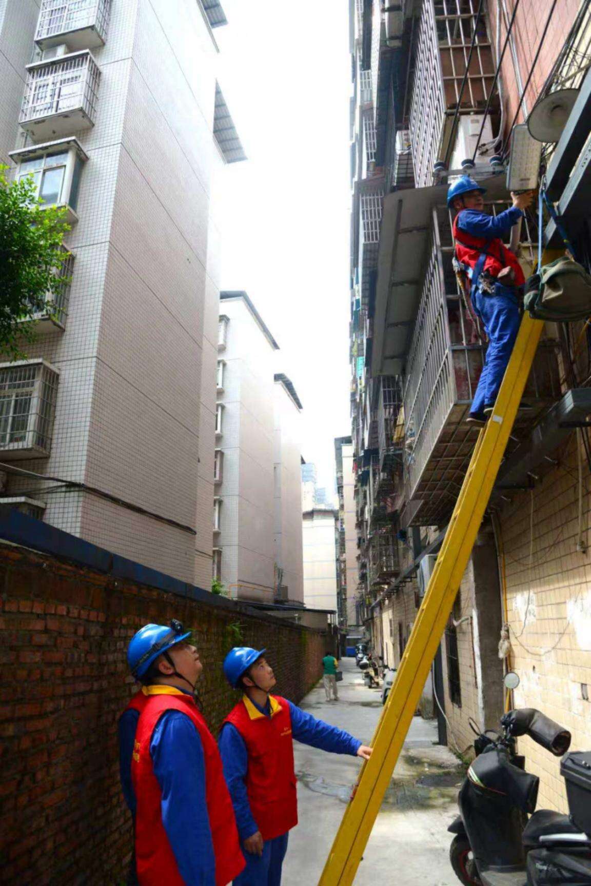 文档图片