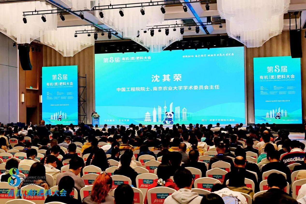 文档图片