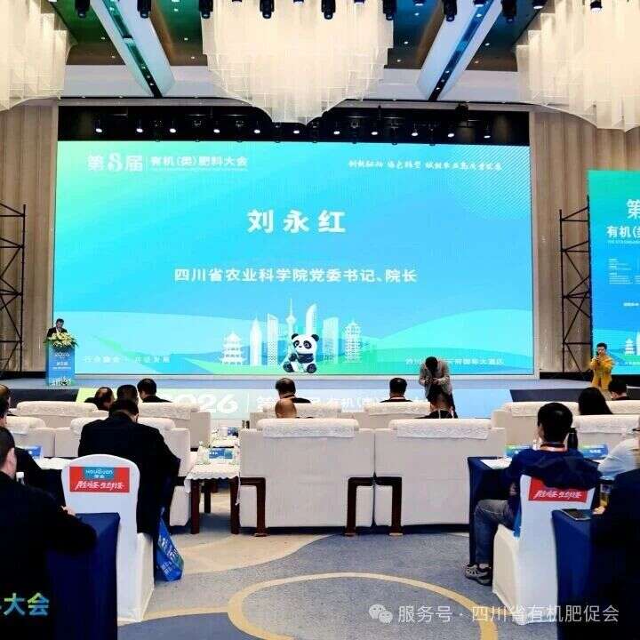 文档图片